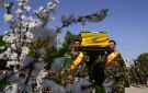 قدم معلومات أدت إلى مقتل قادة.. لبنان يعتقل عميلا مقربا من حزب الله بتهمة التجسس لصالح إسرائيل - iq