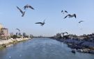 الانواء الجوية : طقس صحو واستقرار بدرجات الحرارة خلال الايام المقبلة