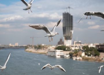 الانواء الجوية : انخفاض بدرجات الحرارة ابتداء من منتصف الاسبوع المقبل الانواء الجوية : انخفاض بدرجات الحرارة ابتداء من منتصف الاسبوع المقبل