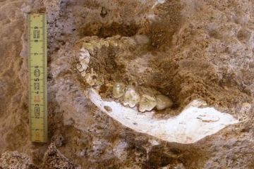 اكتشاف آثار أسلاف بشرية مجهولة اكتشاف آثار أسلاف بشرية مجهولة