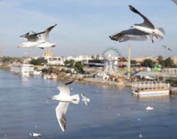 الانواء الجوية : امطار متوقعة وتقلبات في درجات الحرارة خلال الايام المقبلة الانواء الجوية : امطار متوقعة وتقلبات في درجات الحرارة خلال الايام المقبلة