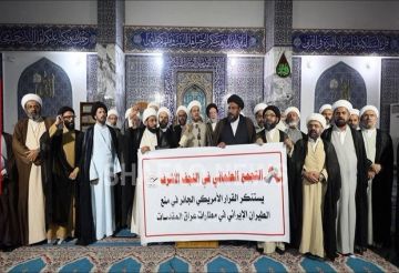 احتجاجات في النجف لإلغاء حظر الرحلات الإيرانية احتجاجات في النجف لإلغاء حظر الرحلات الإيرانية
