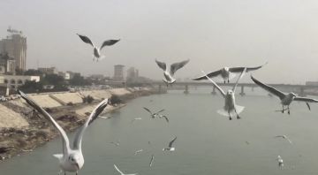 الانواء الجوية: غيوم متفرقة وارتفاع بدرجات الحرارة خلال الايام المقبلة الانواء الجوية: غيوم متفرقة وارتفاع بدرجات الحرارة خلال الايام المقبلة