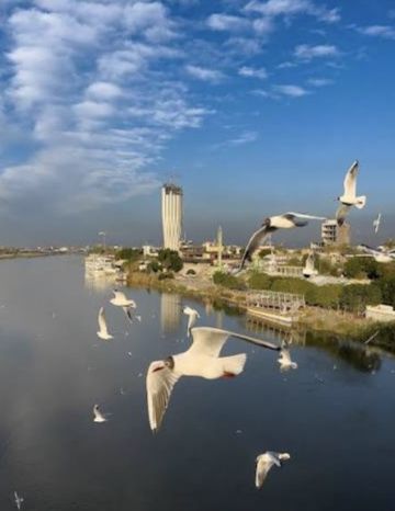 طقس العراق.. غبار وانخفاض في درجات الحرارة طقس العراق.. غبار وانخفاض في درجات الحرارة
