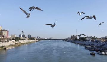 الأنواء الجوية: تصاعد للغبار وانخفاض في درجات الحرارة الأنواء الجوية: تصاعد للغبار وانخفاض في درجات الحرارة