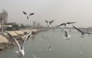 الانواء الجوية: غيوم متفرقة وارتفاع بدرجات الحرارة خلال الايام المقبلة