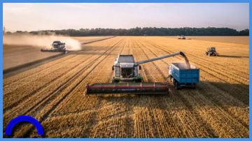 90 مليون طن حصاد القمح الروسي خلال الموسم الحالي