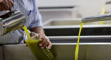 حماية المستهلك: تنكة زيت الزيتون في سوريا ب20 دينارا أردنيا وإنتاج زيت الزيتون هذا العام يغطي 30 فقط من حاجة السوق الأردني حماية المستهلك: تنكة زيت الزيتون في سوريا ب20 دينارا أردنيا وإنتاج زيت الزيتون هذا العام يغطي 30 فقط من حاجة السوق الأردني