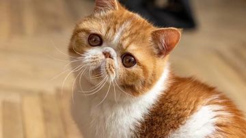 في منشور متداول على مواقع التواصل الاجتماعية .