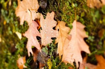 الأربعاء .. انخفاض على درجات الحرارة