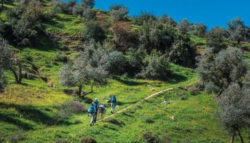 المسارات السياحية في عجلون... وجهة طبيعية وتراثية تعزز التنمية المستدامة المسارات السياحية في عجلون... وجهة طبيعية وتراثية تعزز التنمية المستدامة