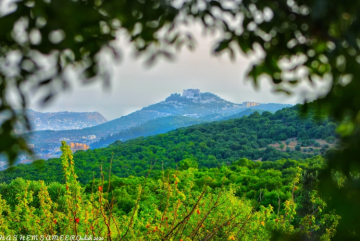 دعوات في عجلون لتكثيف حملات التوعية وحماية البيئة