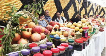 إربد: تمديد دوام مهرجان الرمان بعد إقبال جماهيري ومبيعات قياسية