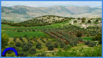 عجلون .. 422 مستفيدا من الإقراض الزراعي