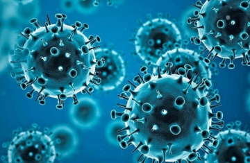 جائحة محتملة.. فيروس كورونا جديد في خفافيش البرازيل