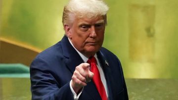 ترامب يدرس حضور مراسم توقيع اتفاق غزة في مصر