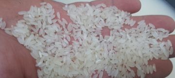 صور و فيديو - مواطن في مادبا يعثر على ديدان وحشرات داخل أكياس أرز من ماركة معروفة