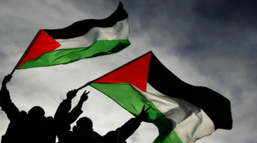 مظاهرات بعدة دول تندد باعتراض الاحتلال أسطول الصمود