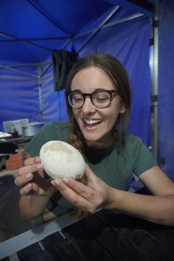 اكتشاف بيضة ديناصور سليمة في الأرجنتين عمرها 70 مليون سنة