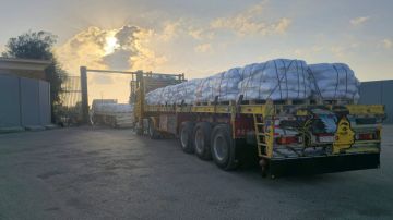 بدء دخول المساعدات الإنسانية إلى غزة عبر رفح