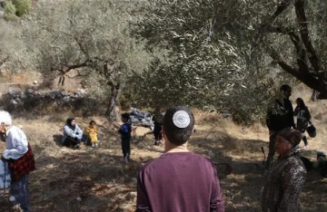 مستوطنون يحرمون الفلسطينيين شمال رام الله من قطف الزيتون مستوطنون يحرمون الفلسطينيين شمال رام الله من قطف الزيتون