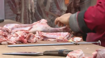 إنذار 11 ملحمة في إربد وإتلاف لحوم فاسدة