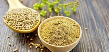 فوائد صحية مدهشة للكزبرة.. أكثر من مجرد نكهة للأطباق فوائد صحية مدهشة للكزبرة.. أكثر من مجرد نكهة للأطباق