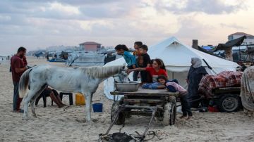 كاتس : 900 ألف فلسطيني نزحوا من مدينة غزة نحو جنوب القطاع