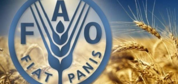 منظمة الفاو في الأردن تحتفل بـ80 عاما على تأسيسها