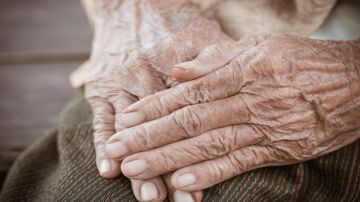 خطة وطنية جديدة لتحسين حياة كبار السن في الأردن حتى عام 2030 خطة وطنية جديدة لتحسين حياة كبار السن في الأردن حتى عام 2030