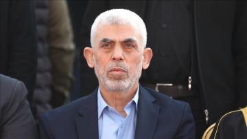 والدة أسيرين إسرائيليين مفرج عنهما تكشف قصة انقاذ يحيى السنوار لحياة الرهينة بيباس والدة أسيرين إسرائيليين مفرج عنهما تكشف قصة انقاذ يحيى السنوار لحياة الرهينة بيباس