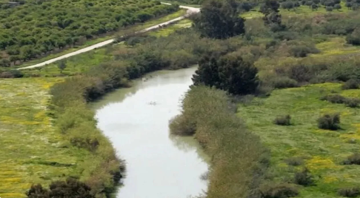 إقرار نظام معدل لتأجير الوحدات الزراعية والأراضي في وادي الأردن