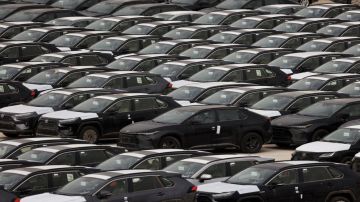 تخليص 4 آلاف مركبة خلال يومين في الحرة بالزرقاء تخليص 4 آلاف مركبة خلال يومين في الحرة بالزرقاء