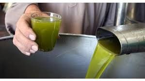 زيارة تفقدية لمدير عام البحوث الزراعية لمختبر زيت الزيتون زيارة تفقدية لمدير عام البحوث الزراعية لمختبر زيت الزيتون