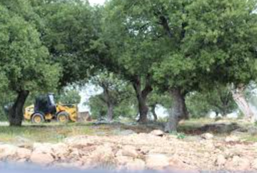 بلدية الوسطية تنهي المرحلة الأولى من مشروع متنزه الخراج الوطني بلدية الوسطية تنهي المرحلة الأولى من مشروع متنزه الخراج الوطني