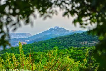 دعوات في عجلون لتكثيف حملات التوعية وحماية البيئة