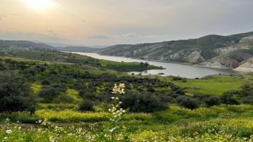 خطة طوارئ متكاملة لمواجهة الشتاء والسيول في الأغوار الشمالية