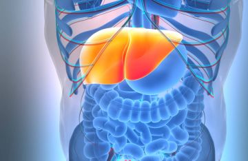 مشروب شائع يشكل درع وقاية من مرض الكبد الدهني مشروب شائع يشكل درع وقاية من مرض الكبد الدهني