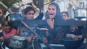 غوغل ترفض إزالة إعلانات إسرائيلية تنفي المجاعة في غزة