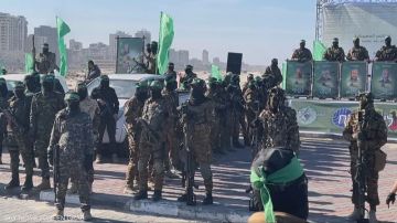 المدافع الثقيلة على طاولة شرم الشيخ: خطة ترامب بين المراحل والتأجيل عاجل المدافع الثقيلة على طاولة شرم الشيخ: خطة ترامب بين المراحل والتأجيل عاجل