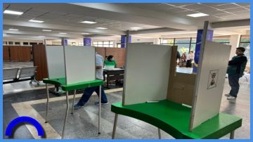 المستقلة للانتخاب مراقب دولي على الانتخابات البلدية بجورجيا