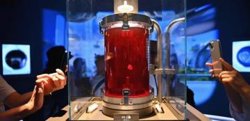 قلب من خلاياك.. اليابان تقترب من زراعة أول قلب ذاتي المنشأ قلب من خلاياك.. اليابان تقترب من زراعة أول قلب ذاتي المنشأ