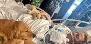 كلبة أنقذت امرأة بعد غيبوبة طويلة كلبة أنقذت امرأة بعد غيبوبة طويلة