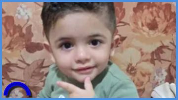 بعد تداول أنباء مغلوطة بالأردن .. ما هي ذبابة النمر الأسود