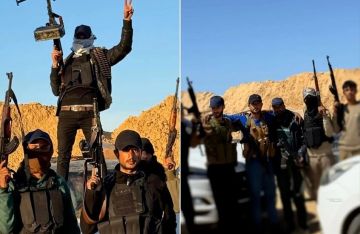 تلغراف تكشف مصير ميليشيا أبو شباب في غزة  تلغراف تكشف مصير ميليشيا أبو شباب في غزة