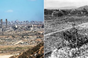 جدعون ليفي: العالم لن ينسى إبادة غزة وسيتوارث الناس ذكراها جيلا بعد جيل عاجل