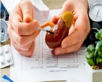 سبع عادات يومية تضر بصحة الكلى فى صمت سبع عادات يومية تضر بصحة الكلى فى صمت