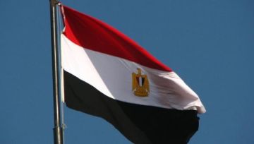 مصر تفوز بعضوية مجلس حقوق الإنسان مصر تفوز بعضوية مجلس حقوق الإنسان