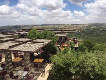 محمية غابات عجلون تستقطب 143 ألف زائر منذ بداية 2025