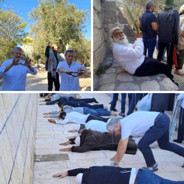 في اليوم السابع لعدوان العرش التوراتي: تواصل فرض طقوس القرابين النباتية كأداة لتغيير هوية الأقصى عاجل في اليوم السابع لعدوان العرش التوراتي: تواصل فرض طقوس القرابين النباتية كأداة لتغيير هوية الأقصى عاجل